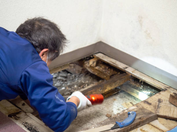 Best Crawl Space Mold Removal  in Salinas, CA
