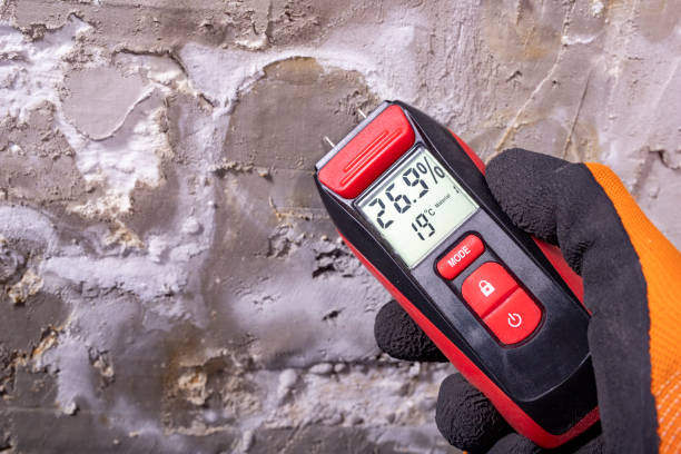 Best Mold Remediation  in Salinas, CA
