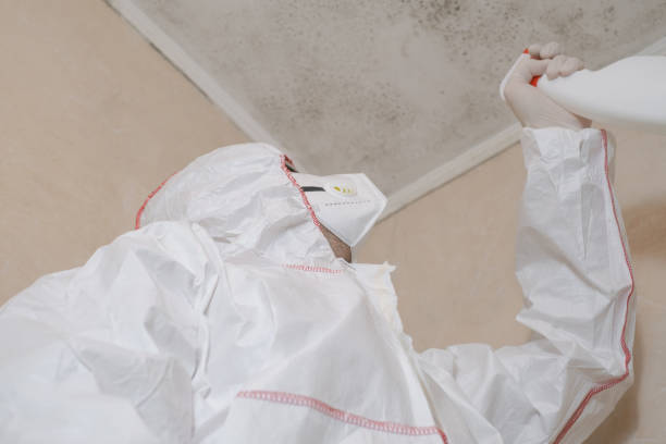 Best Mold Testing and Removal  in Salinas, CA