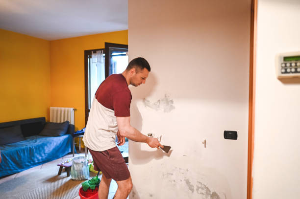 Best Mold Removal Company Near Me  in Salinas, CA