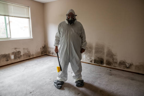 Mold Testing and Removal in Salinas, CA